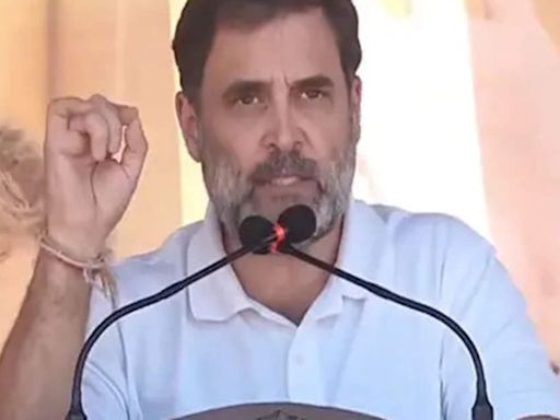 Why did youth of Haryana turn to 'Dunki', asks Rahul Gandhi