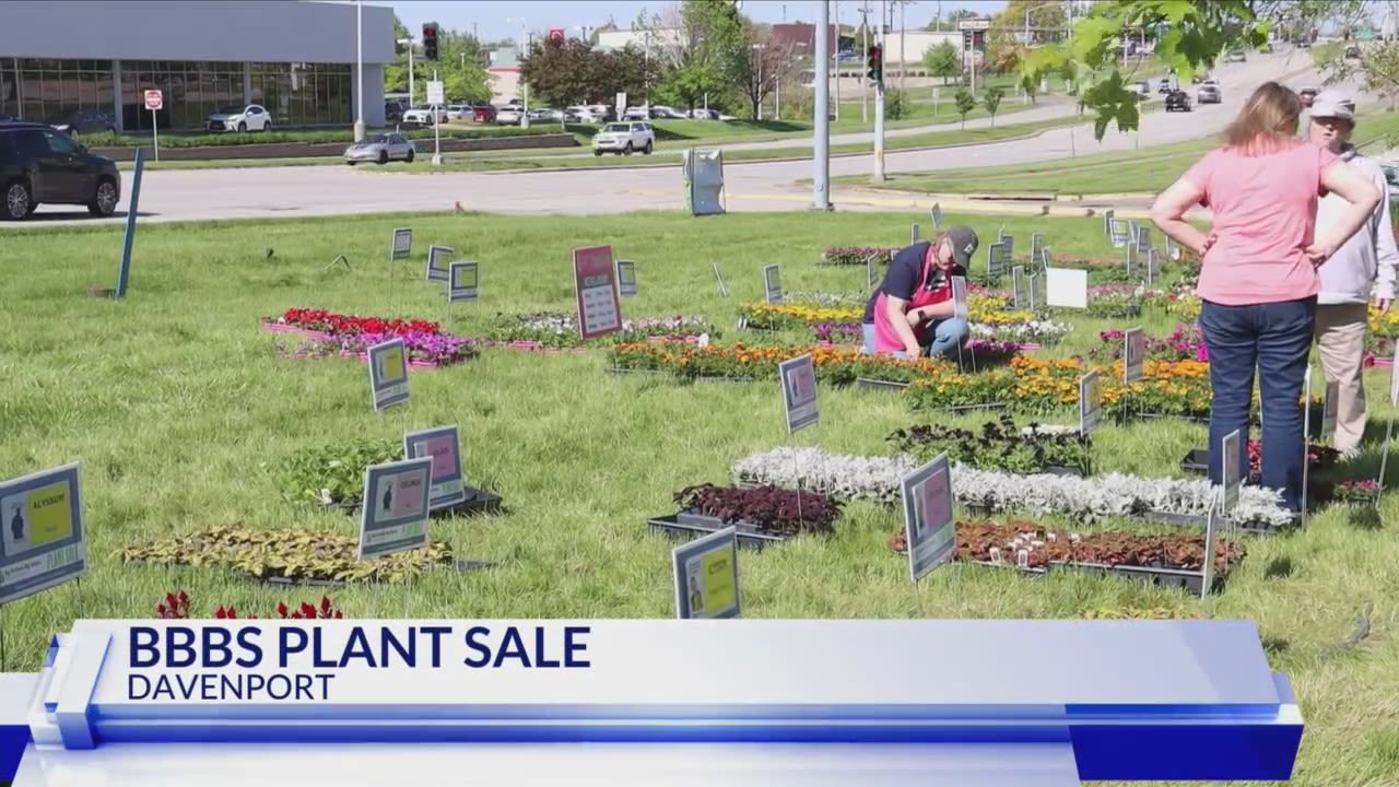 Big Brothers Big Sisters plant sale continues