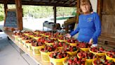 Here's where to go pick your own strawberries in Greensboro and the Triad