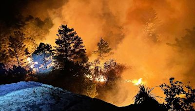 Consumen 12 incendios simultáneos bosques de Oaxaca