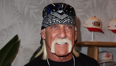 Hulk Hogan Thinks This WWE Star Could Be The Next Stone Cold Or Rock - Wrestling Inc.