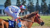 Las Carreras de las Estrellas, otro gran atractivo en el Gran Premio Batalla de Tucumán