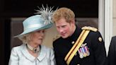 Ni su padre ni su hermano: la gran perjudicada de las memorias del príncipe Harry es la reina Camilla