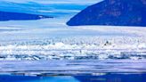 Why Melting Ice Doesn’t Necessarily Cool Warming Oceans