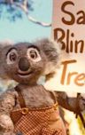 The New Adventures of Blinky Bill