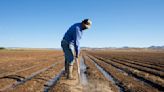 Colorado lucha contra la sequía y los especuladores del agua