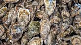 High levels of fatal shellfish poison detected off WA coast. DOH issues recall, closures