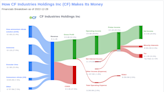 What's Driving CF Industries Holdings Inc's Surprising 18% Stock Rally?