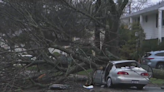 Driver injured when car smashes into tree during storm on Long Island: NCPD