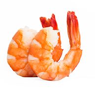 Shrimp