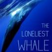 The Loneliest Whale: The Search for 52