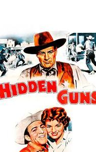 Hidden Guns