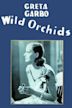 Wild Orchids (film)