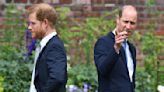 Prince Harry Says Prince William Physically Attacked Him in New Book: Report