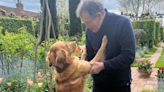 Monty Don leaves fans gushing over adorable pic after update on dog's sad death