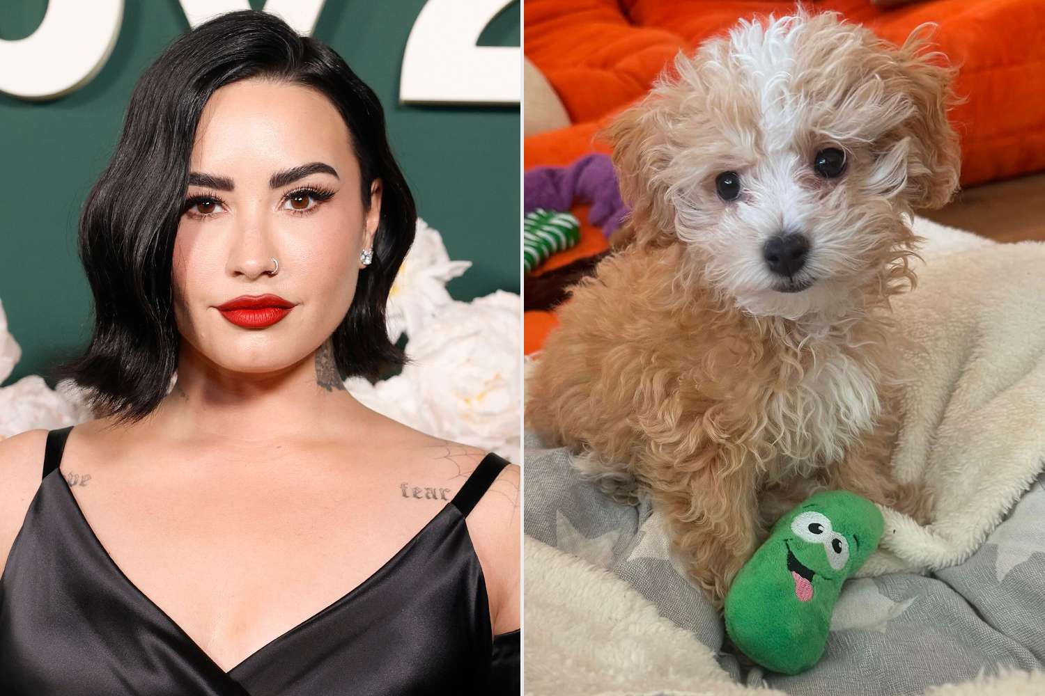 Demi Lovato and Fiancé Jordan 'Jutes' Lutes Share Cute Photos of Their New Dog Pickle