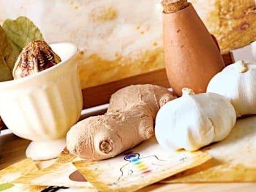 Licensing, logistics norms for Ayurveda Aahara food products to be launched soon