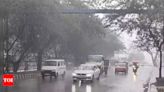 Delhi Weather: Humid Day with Missed Rainfall | Delhi News - Times of India