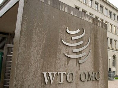 WTO accepts India's request to delay import duty dispute ruling till Oct