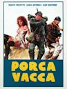 Porca vacca