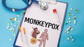 Risk Of Large Monkeypox Outbreak In India? What Health Minister Said Amid Global Scare