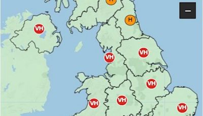 Pollen count Cambridge: Met Office warns of 'very high' pollen levels in Cambridgeshire this week