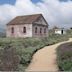 Piedras Blancas Light Station