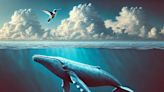 Breaking Barriers in Biology: Universal Equation Links Wingbeats of Whales to Mosquitoes