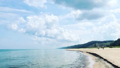 A Hiker's Path: Black oak savannas at Indiana Dunes National Park