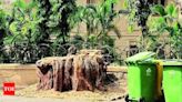 Malabar Hill residents in Mumbai allege unscientific trimming of trees | Mumbai News - Times of India