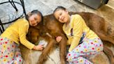 Good dog! This goldendoodle kept his human sisters safe when they got lost in the woods