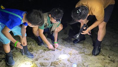 體驗恆春半島夜生活行程推薦｜潮間帶探索、望遠鏡觀星，陸海空都暢玩的生態小旅行 - 阿琪碎碎念 - 微笑台灣 - 用深度旅遊體驗鄉鎮魅力