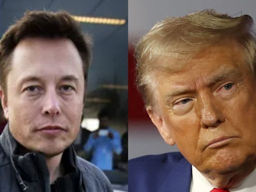 If Trump Is Not Elected, This Will Be The Last Election In America: Elon Musk - News18