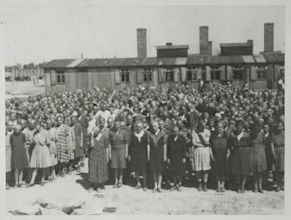 Auschwitz concentration camp