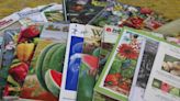 Gardening: January is planning time for starting seedlings indoors