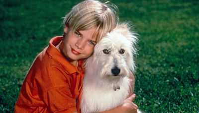 David Gallagher Says '7th Heaven' Episode Where Dog Happy Gets Hit by Car 'Was Really Heavy for Me'