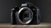 Canon retains its title as number 1 brand for interchangeable-lens digital cameras