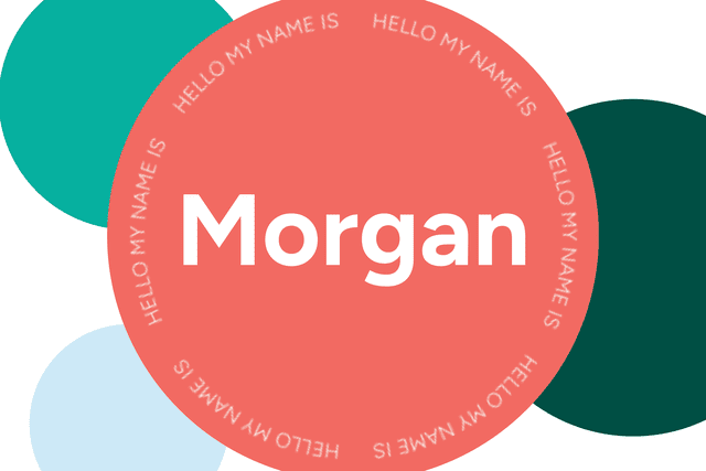 Morgan Name Meaning