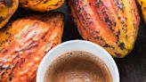 Cocoa vs. Cacao: What's the Difference? Chocolate Experts Break it Down