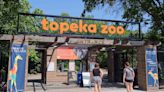 Ostrich at Topeka Zoo Dies After Ingesting Keeper's Keys