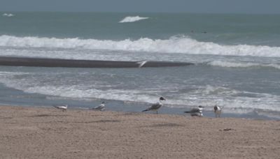 Man suffers severe shark bite on South Padre Island during Fourth of July celebrations