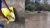 VIDEO: Se desbordan lagos del parque Tangamanga I en San Luis Potosí; peces mueren en plena calle