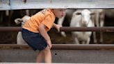 2 area farm families to receive award at Iowa State Fair