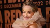 Sharon Stone says she 'never got equal pay' as a working actress and wants her kids to sell her costumes