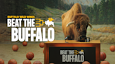Buffalo Wild Wings 'beat the buffalo' challenge among free wings, deals for March Madness