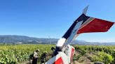 Pilot suffers serious injuries after plane goes down in Santa Barbara wine country