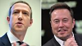 Elon Musk and Mark Zuckerberg could have cage fight in Roman Colosseum