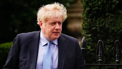 Election campaign day 27: Boris Johnson enters the fray