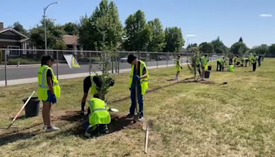 Nearly 60 new trees planted at southwest Fresno school through partnership
