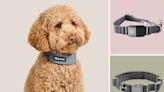 These 8 Smart Dog Collars Can Track Everything From Your Pup's Health Stats to His Location